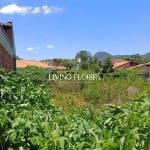 Terreno à venda na Julião Benjamin da Lapa, 52, Açores, Florianópolis