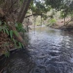 Chácara para Venda em Brasília, Jardim Botânico