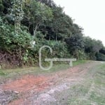 Terreno à venda, 2802 m² por R$ 600.000,00 - Estância Balneária Garça Vermelha - Peruíbe/SP