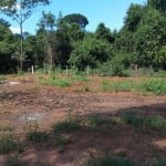 Chácara para Venda em Aquidauana, Zona Rural Palmeiras