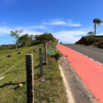 Terreno de 50.501 m² na Beira da Estrada em Garopaba – Oportunidade no Ambrósio