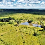 Fazenda de Oportunidade em Ponte Alta-TO ! 100 Alqueires !