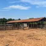 Fazenda em Porangatu-Go ! 220 Alqueires em Lavoura - 100% Formada