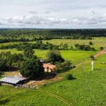 Fazenda à venda de 45 Alqueires em Formoso do Araguaia-TO ! Oportunidade !