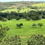 Fazenda na região de Primavera do Leste-MT ! 1.936 Hectares ! Terra mista