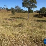 Fazenda de 25 Alqueires em Ivolândia-GO ! 2 km da Cidade - Para Pecuária