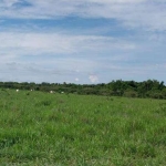 Fazenda de 384 Hectares na região de Barra do Garças-MT ! Oportunidade!