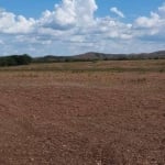 Excelente Oportunidade! Fazenda em Barra do Garças-MT! 555 Hectares!