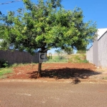 TERRENO : JARDIM RESIDENCIAL MALIBU - IBIPORÃ