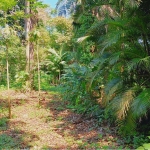 Terreno a venda em Vargem Grande com 6099m