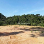 Chácara à venda, 3000 m² por R$ 140.000,00 - Capivari - Campina Grande do Sul/PR