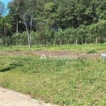 Terreno à venda, 384 m² por R$ 250.000,00 - Jardim Daher - Campina Grande do Sul/PR