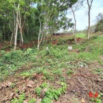 Terreno de USO MISTO na Granja Viana - Abaixou o preço! - Cotia - SP