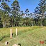 Terreno à venda, 532 m² por R$ 558.757,50 - Granja Viana - Cotia/SP