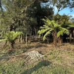 Terreno à venda na Rua Severino Inocente Zini, 2020202, Jardim Mariana, Canela