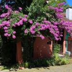 Casa com 1 quarto à venda na Roberto Eduardo Xavier, 5206, Vale do Bosque, Gramado