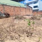 Terreno Lote em Gávea, Vespasiano/MG