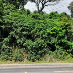 ÓTIMA OPORTUNIDADE: Terreno com estudo de solo e viabilidade, localizado na Avenida Wenceslau Escobar, Bairro Vila Conceição, na entrada do Sétimo Céu, com vista para o Guaíba.&lt;BR&gt;Dimensões:11m 