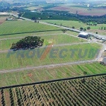 Terreno comercial à venda na Rodovia SP-147, s/nº, Jardim Primavera, Mogi Mirim