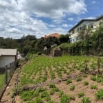 Terreno à venda no Bairro Pórtico 2 com 426 m² de área privativa