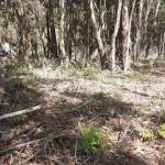 Terreno para Venda em Cotia, Granja Viana