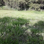 Terreno para Venda em Cotia, Granja Viana