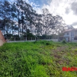 Terreno comercial para alugar na Rua Francisco Torquato da Rosa, 531, Potecas, São José