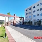 Apartamento com 2 quartos para alugar na Wenceslau Evaristo Silva / Br 101, 4261, Serraria, São José