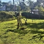 Terreno à venda, 1.050 m² (21 x 50) - Riacho Grande - São Bernardo do Campo/SP