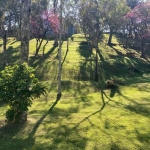 Sítio à venda, 23000 m² por R$ 700.000,00 - Riacho Grande - São Bernardo do Campo/SP