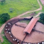 Fazenda à venda, 47220000 m² por R$ 160.000.000,00 - Centro - Ribas do Rio Pardo/MS