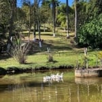 Chácara para Venda em Ribeirão Pires, Pouso Alegre, 3 dormitórios, 2 suítes, 3 banheiros, 6 vagas