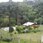 Chácara / sítio com 4 quartos à venda na Carapiaí, 1, Fazenda Souza, Caxias do Sul