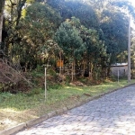 Terreno à venda na Rua Adolpho Libardi, 11, São Virgílio, Caxias do Sul