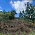 Terreno à venda na Estrada Municipal Avelina Tomazzoni Piccoli, 01, Monte Bérico, Caxias do Sul