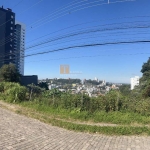 Terreno à venda na Rua Pedro Pezzi, 1236, Panazzolo, Caxias do Sul