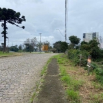 Terreno à venda na Rua Celestino Deitos, 150, Desvio Rizzo, Caxias do Sul