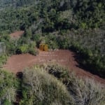 Chácara / sítio à venda na Estrada Municipal Padre Ari Camello, 01, Santa Lúcia do Piaí, Caxias do Sul