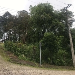 Terreno à venda na Dr. Wilson Bordin, 11, Colina Sorriso, Caxias do Sul