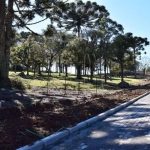 Terreno à venda na Gen. Alexandre M. Simões dos Reis, 100, Mariland, Caxias do Sul