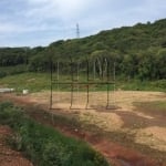 Terreno comercial à venda na Rodovia RSC-122, 100, Linha 40, Caxias do Sul