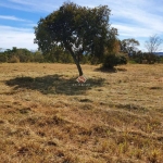 Terreno à venda na Lote 01, 1, Horto Do Jaguara, Jaboticatubas