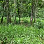 Terreno à venda na Estrada F, 49, Vale dos Sonhos, Lagoa Santa