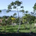 Terreno com 22.000m² - À venda na Ponta de Baixo, São José.