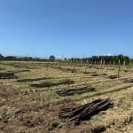 Terreno com 2200m² - À venda na Palhoça.