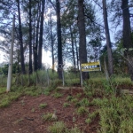 Terreno à venda na Rua Fábio Baptista Pinto, 875, Recanto dos Dourados, Campinas