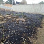 Terreno à venda na Orlando Signorelli, SN, Cidade Satélite Íris, Campinas