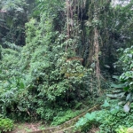 Terreno no condomínio Jardim da Montanha , Serra na Cantareira com projeto.