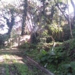 Terreno para Venda em São Paulo, Jardim Vitória Régia