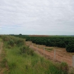 Fazenda para Venda em Franca, Parque Francal